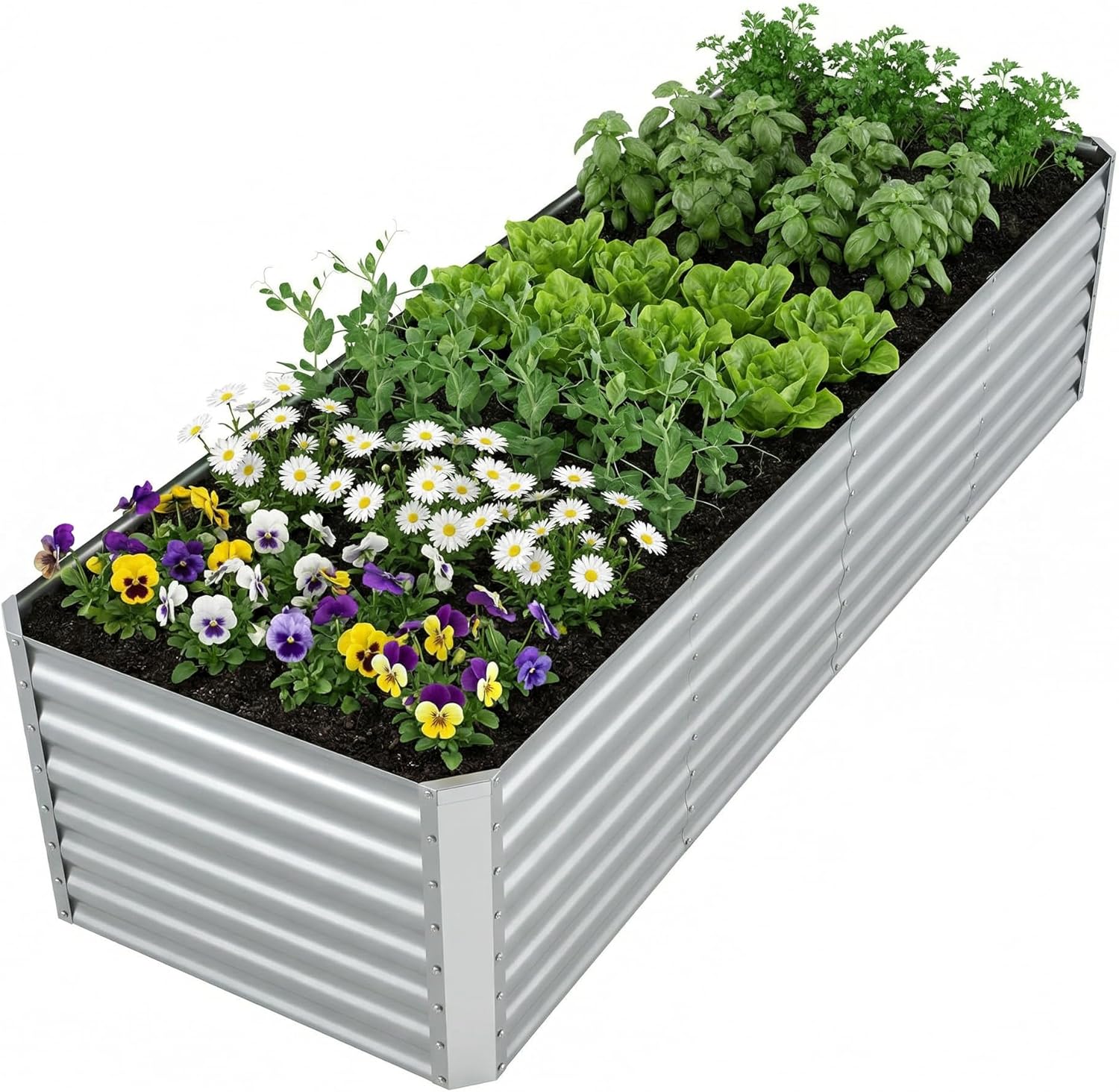 Raised Garden Bed - Bac de jardin surélevé galvanisé pour