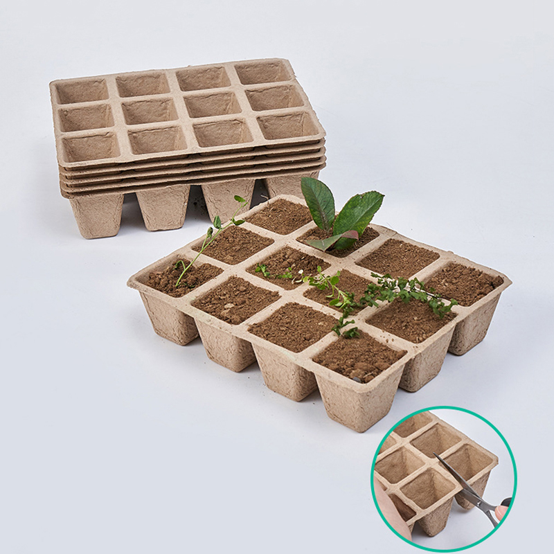 Seed Starter Tray - Plateau de pépinière à 12 trous,