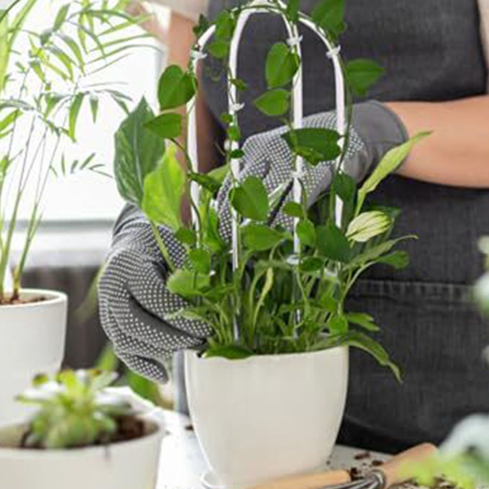 Support pour plantes en acryli - Indoor Herb Garden avis et prix