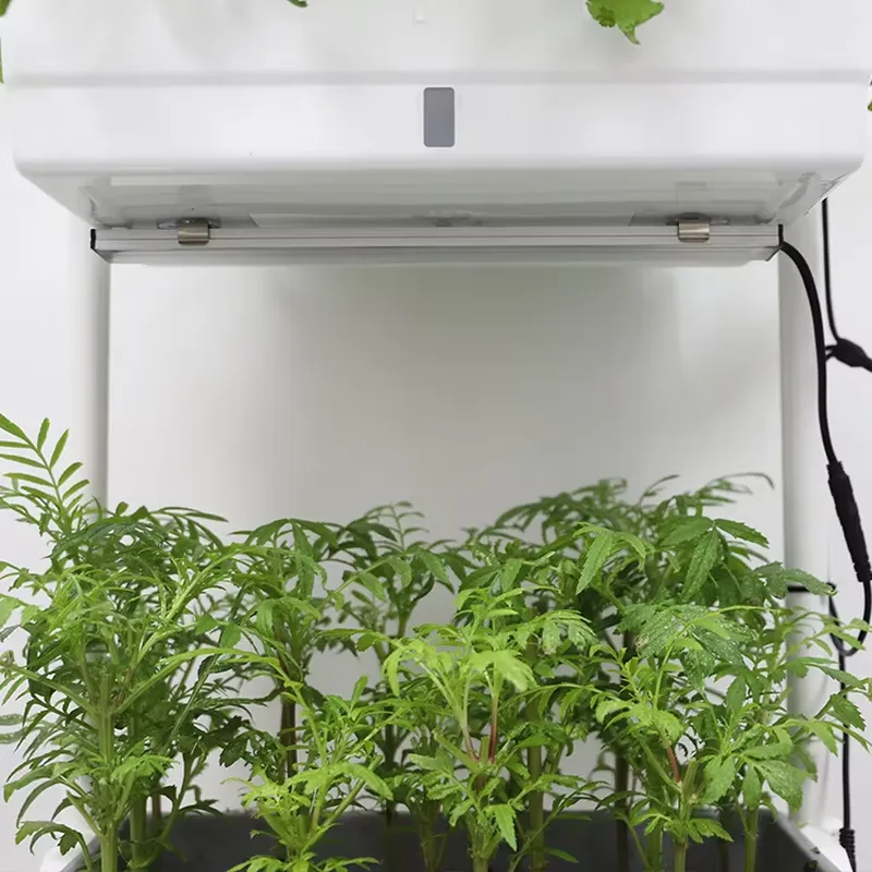 Jardinière intelligente vertic - Self Watering Planter avis et prix