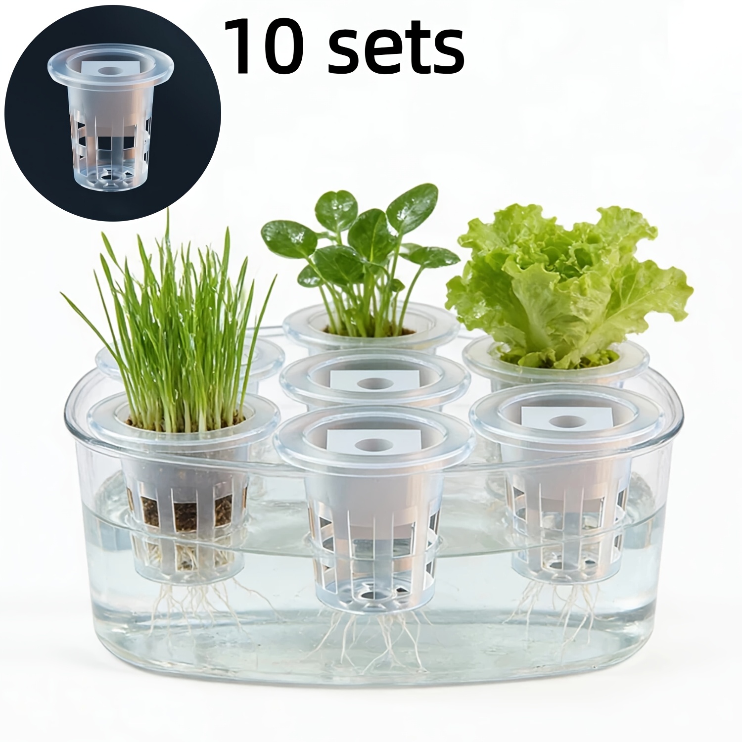 Ensemble de paniers pour semis - Seed Starter Tray avis et prix