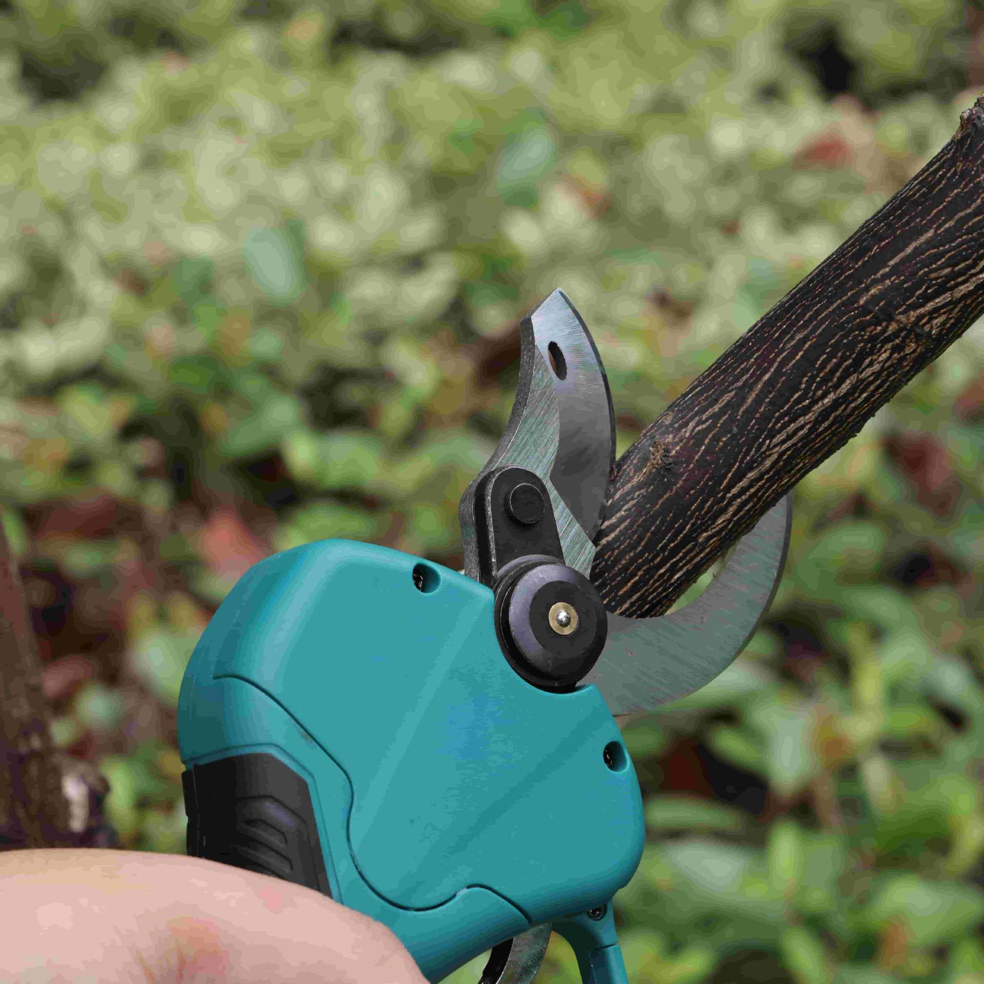 Sécateur de jardin sur perche  - Pruning Shears avis et prix
