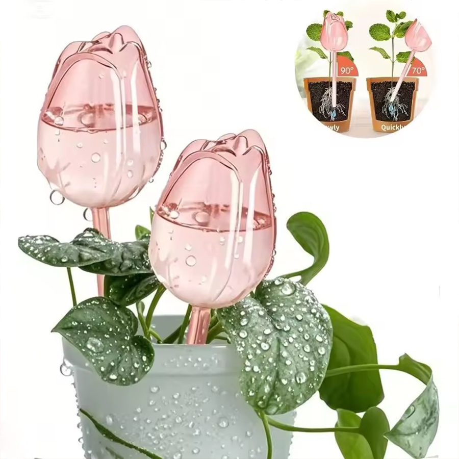 Pique d'arrosage transparente  - Self Watering Planter avis et prix