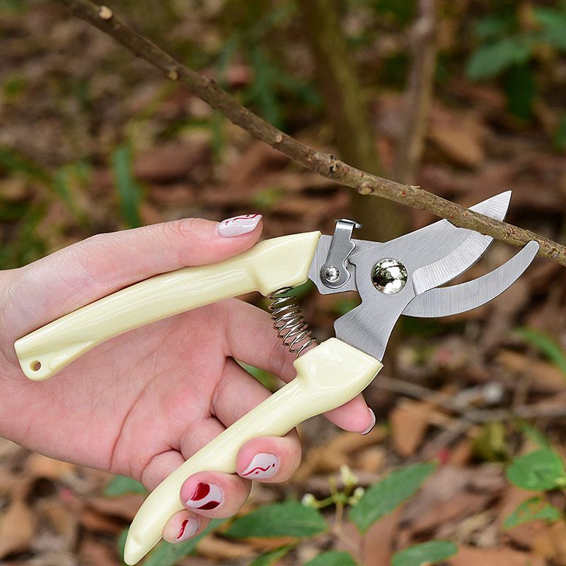 Sécateur de jardin à économie  - Pruning Shears avis et prix