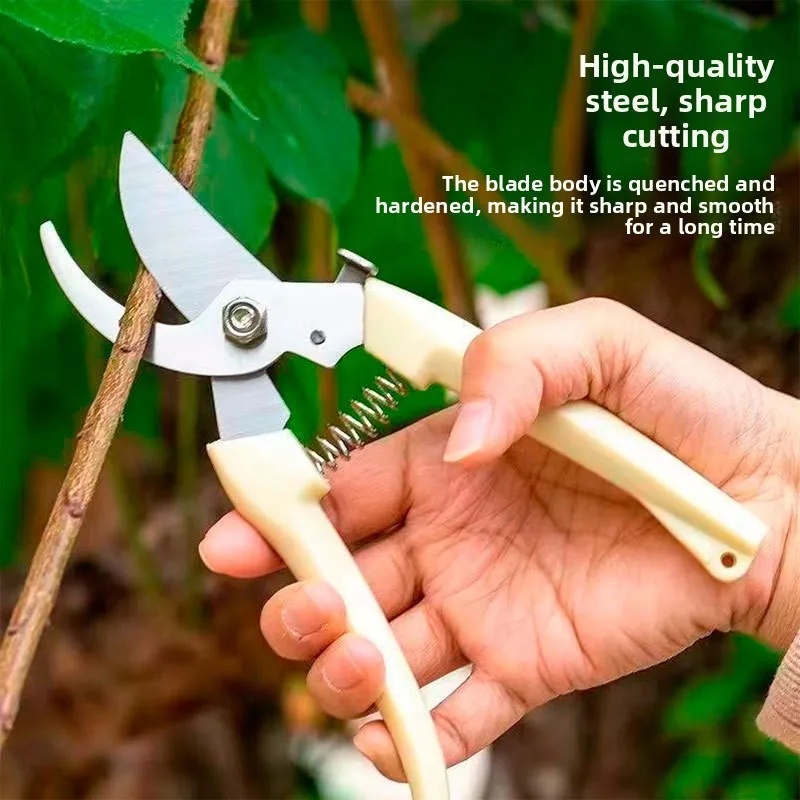 Sécateur de jardin à économie  - Pruning Shears avis et prix