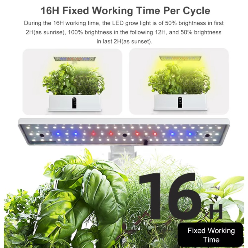 Système de culture hydroponiqu - Hydroponic Kit avis et prix