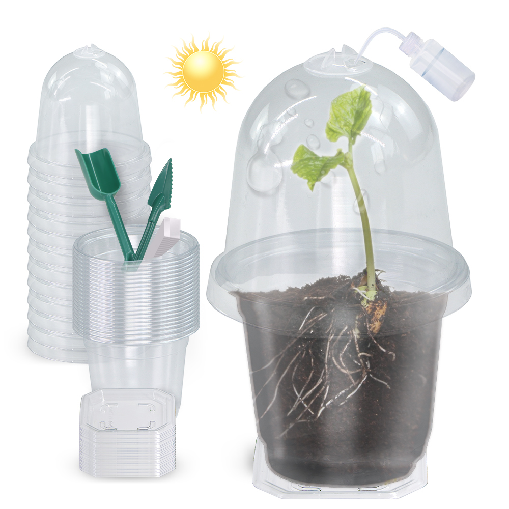 160x90CM Visible Clear Plants  - Seed Starter Tray avis et prix