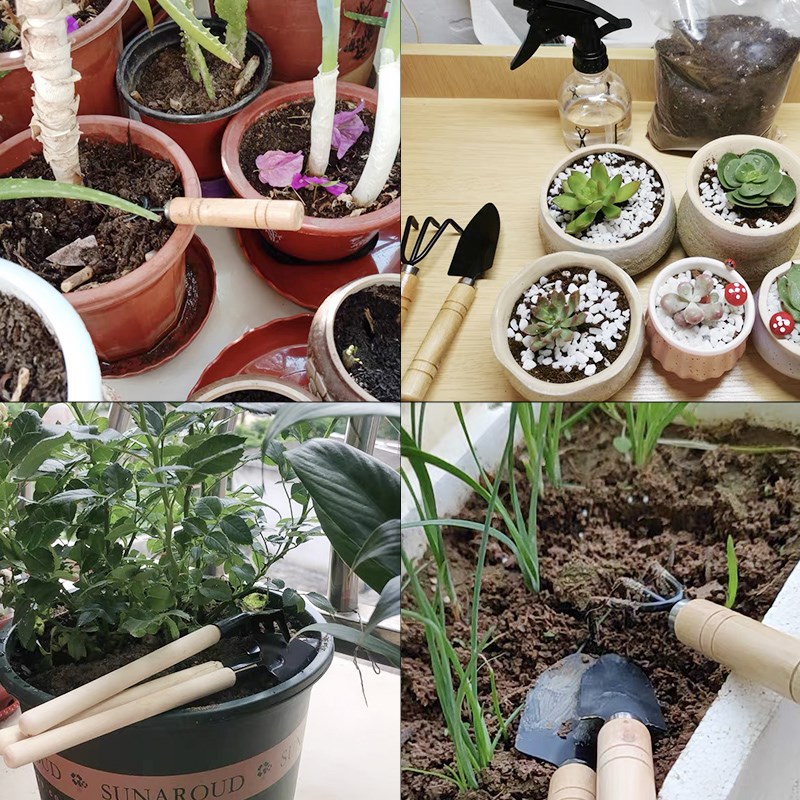 3 pièce/1 ensemble Mini ensemb - Indoor Herb Garden avis et prix