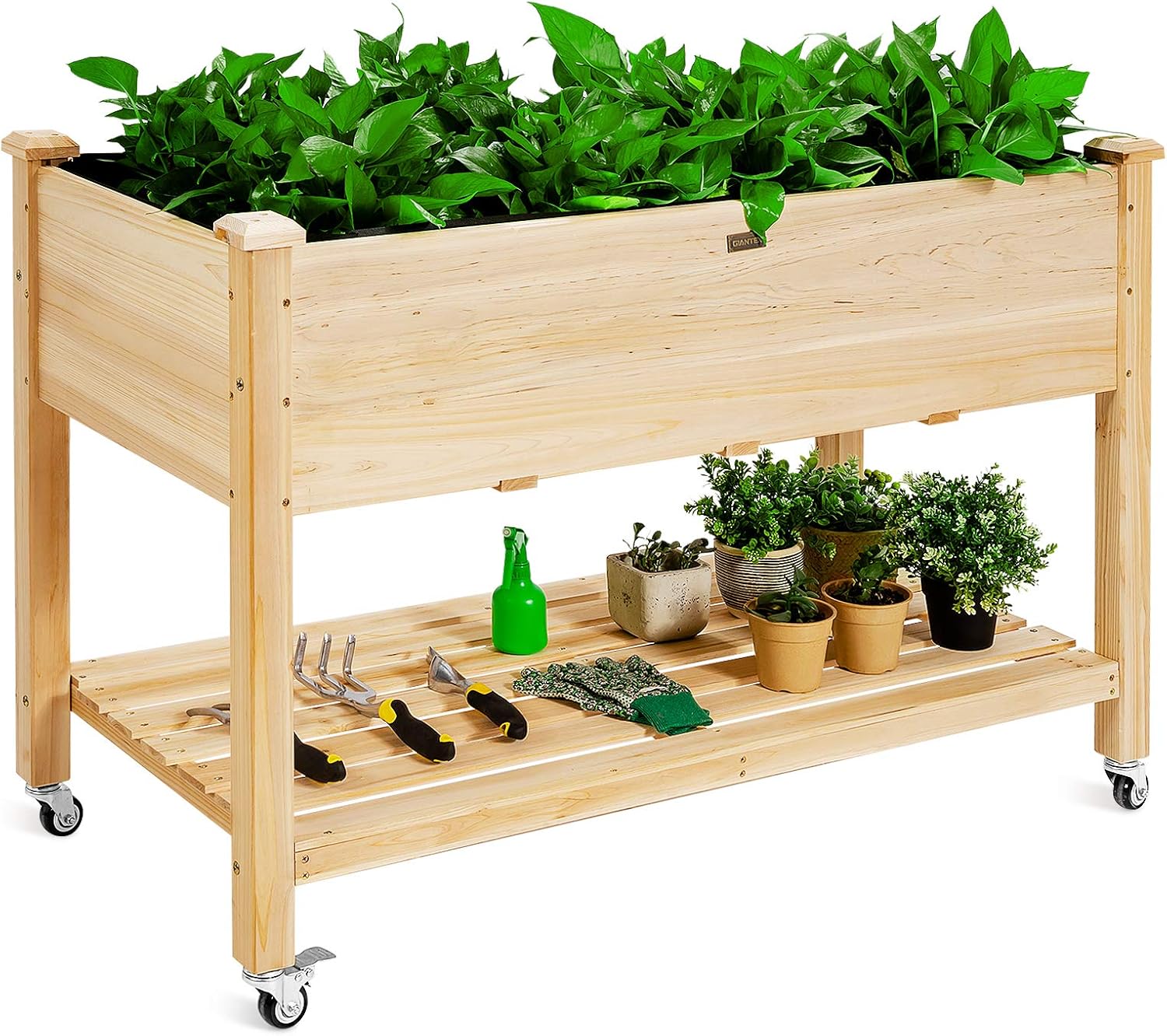 Bac à légumes surélevé en bois - Raised Garden Bed avis et prix