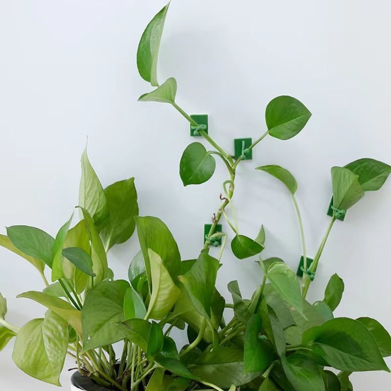 Clips de fixation murale auto- - Indoor Herb Garden avis et prix