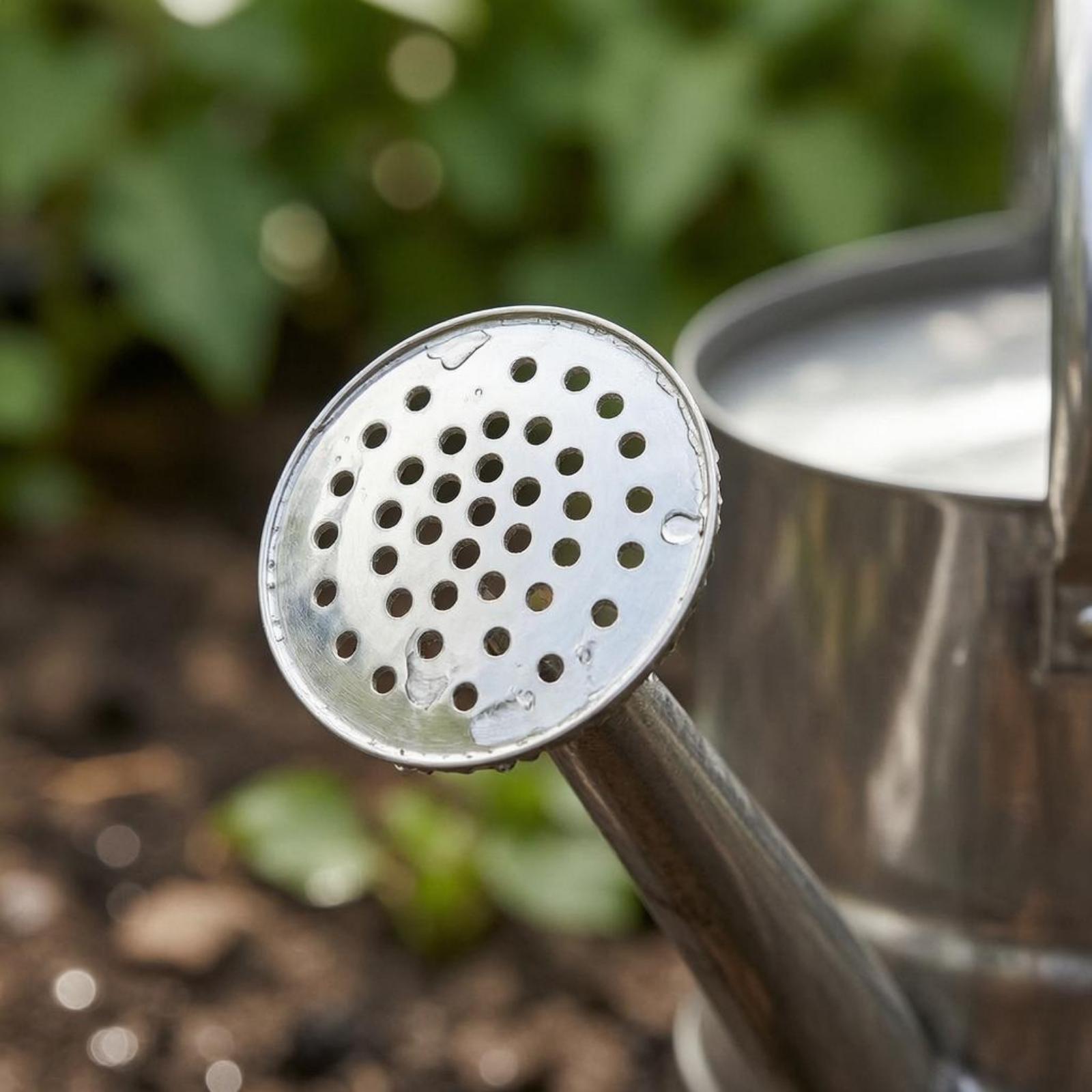 Arrosoir de jardin en acier in - Watering Can avis et prix