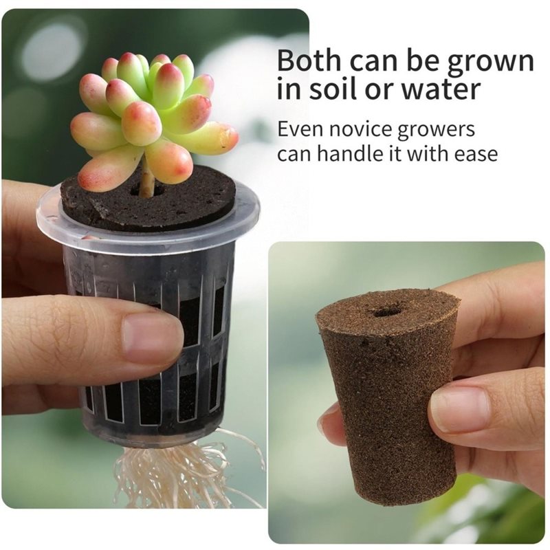 [ABFI!】 Kit de système de cult - Hydroponic Kit avis et prix