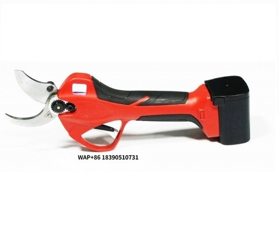 Ciseaux de jardin portables Ki - Pruning Shears avis et prix